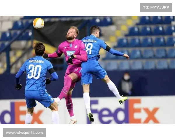 海登海姆对阵霍芬海姆,升班马挑战状态正盛对手